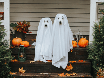 Etsy Halloween Guide